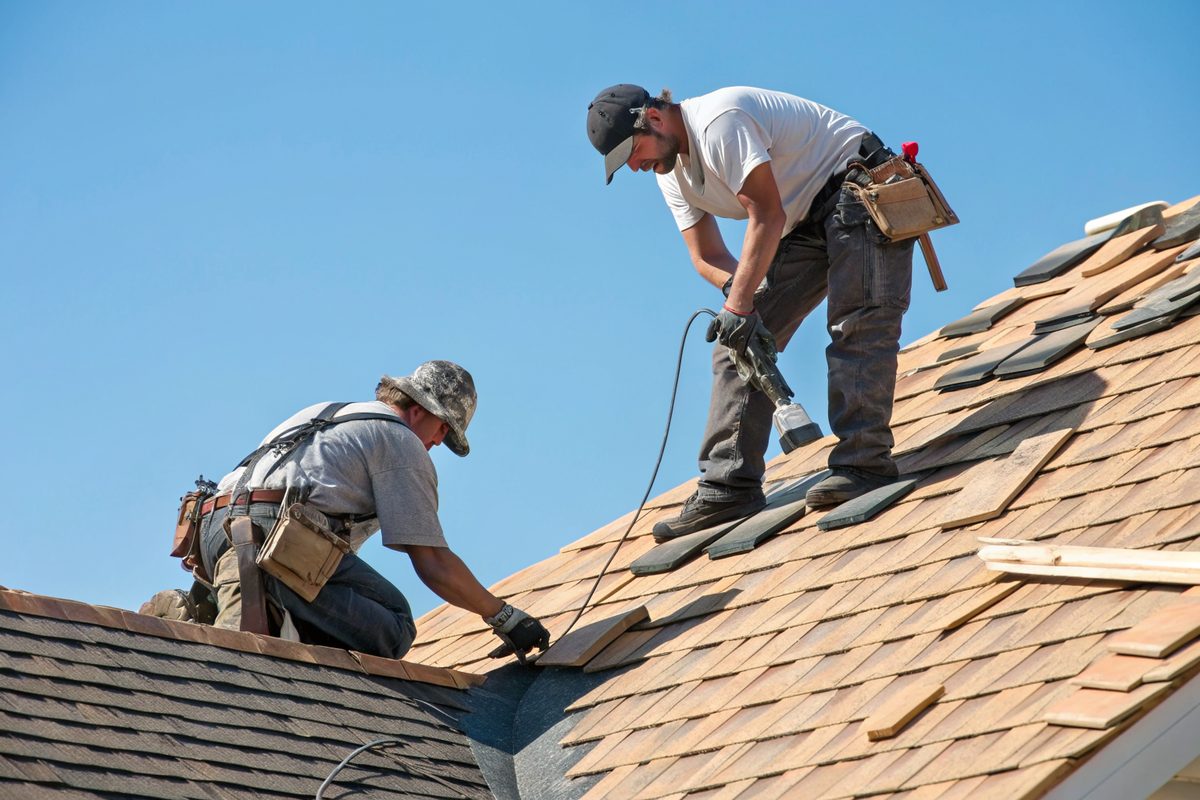 Two roofers installing new weathered-wood colored shingles on a sunny roof