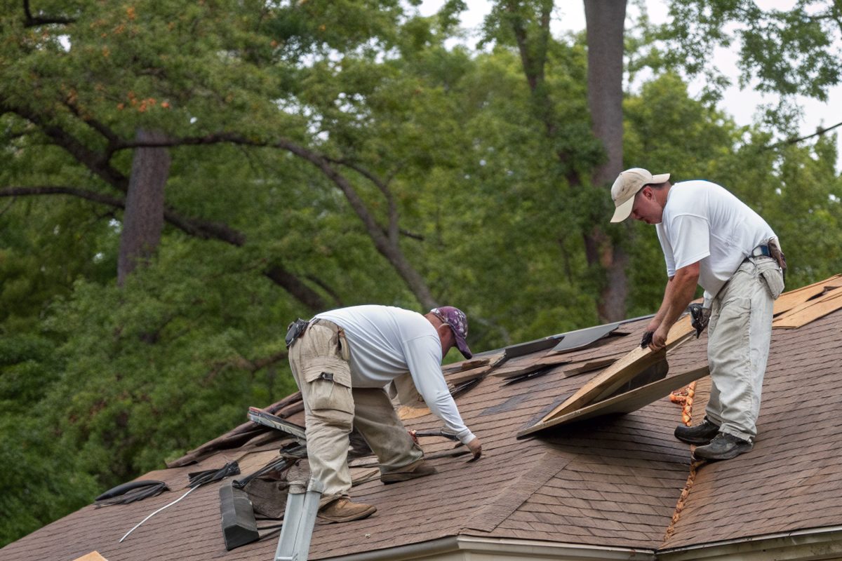 Two roofers stripping old shingles from a house roof down to the wood decking